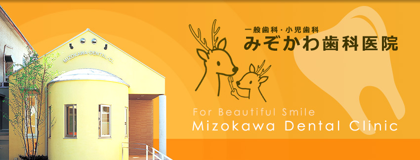 For Beautiful Smile Mizokawa Dental Clinic